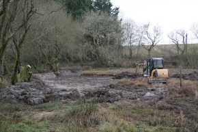 Picture of clearance work at Drumore Pond, December 2009, 24KB